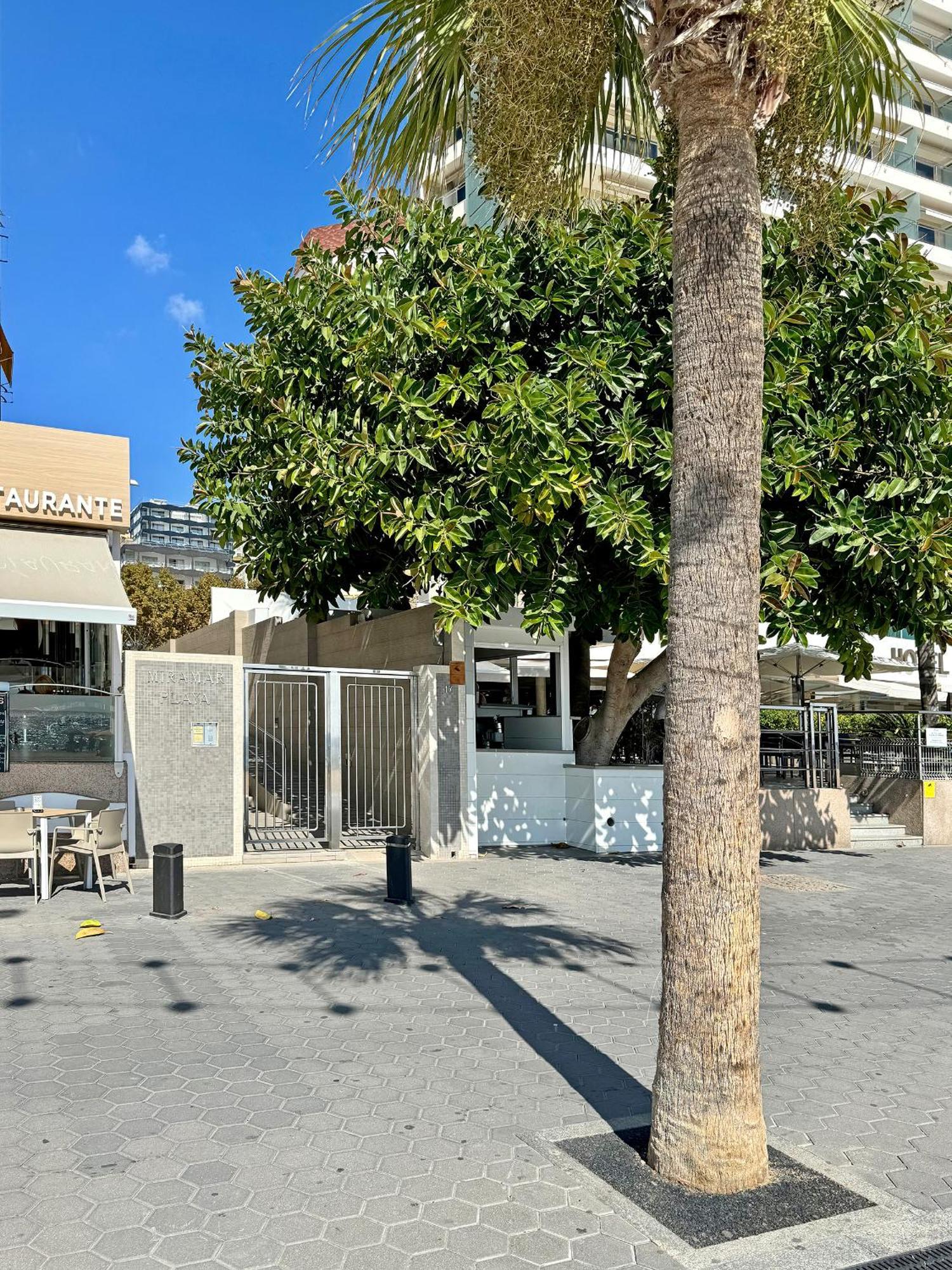 Precioso Estudio Frente La Playa Benidorm Esterno foto
